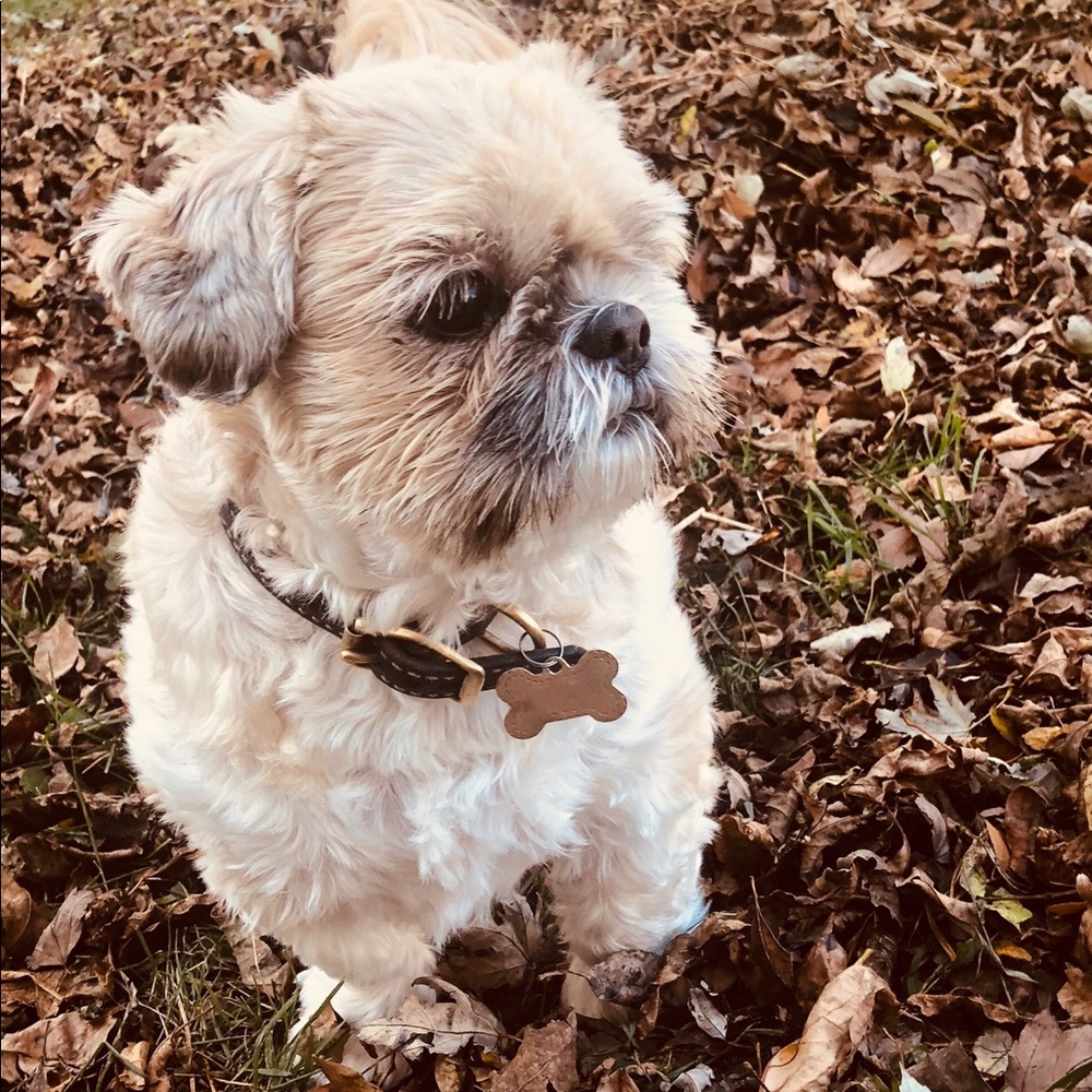 Meet your Posher, Blanca